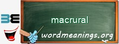 WordMeaning blackboard for macrural